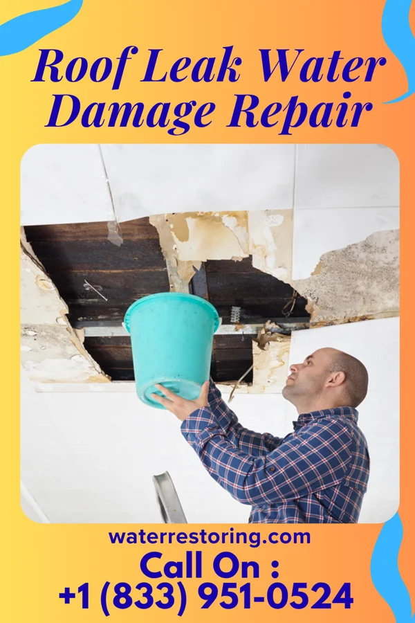 Roof Leak Water Damage Repair in Arrowhead Springs, WY